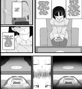 VIDEL x GOKU